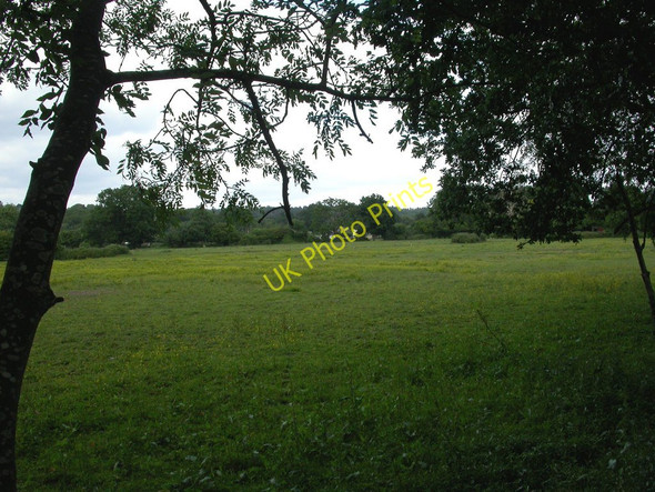 Photo 6"x4" Wimborne, grazing land Wimborne Minster c2010