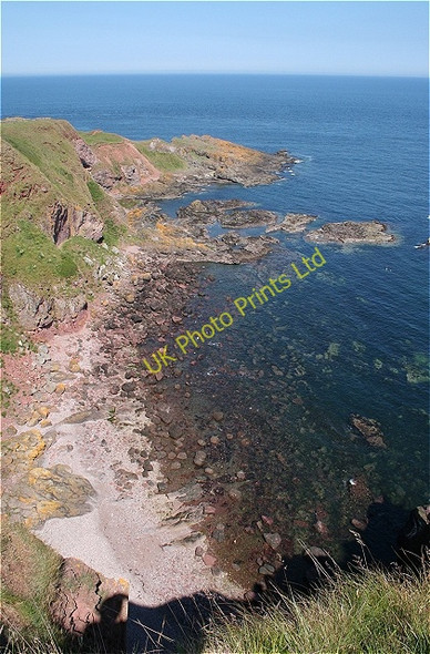 Photo 6"x4" Maw Skelly Red Head\/NO7047 c2006