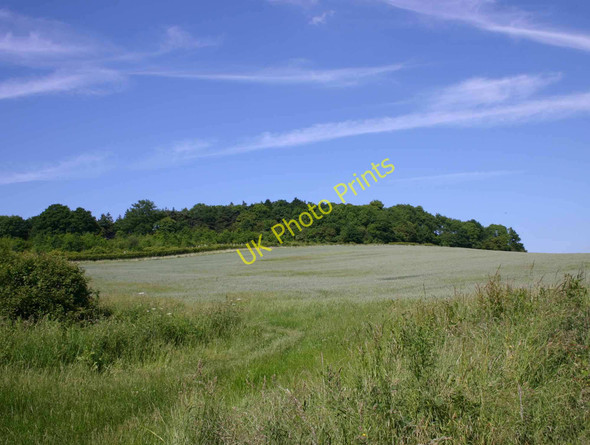 Photo 6"x4" Knowlands Hill Nebsworth c2010