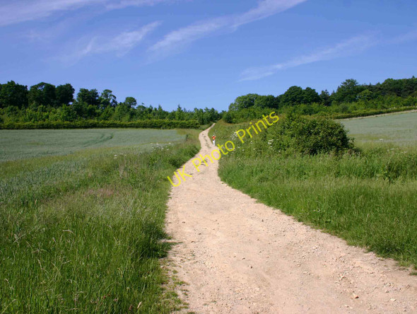 Photo 6"x4" Footpath up Knowlands Hill Nebsworth c2010