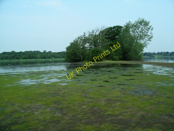 Photo 6"x4" The island, Castle Loch Lochmaben c2006
