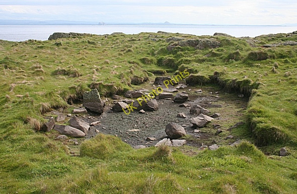 Photo 6"x4" Dry Pond Maiden Hair c2010