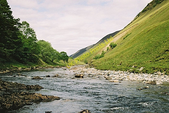 Photo 6"x4" River Tilt Forest Lodge\/NN9374 c2006