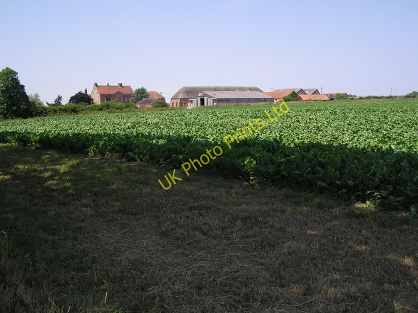 Photo 6"x4" Ludham Hall Johnson Street c2006