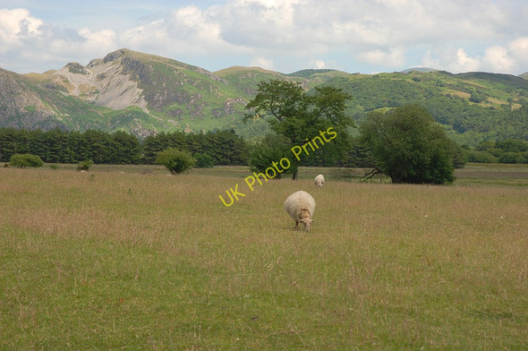 Photo 6"x4" Field near Cemaes Llanegryn c2010