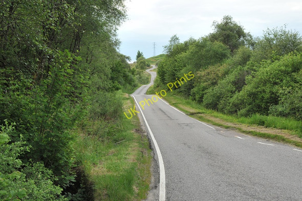 Photo 6"x4" B845 in Glen Nant Ballimore\/NN0525 c2010