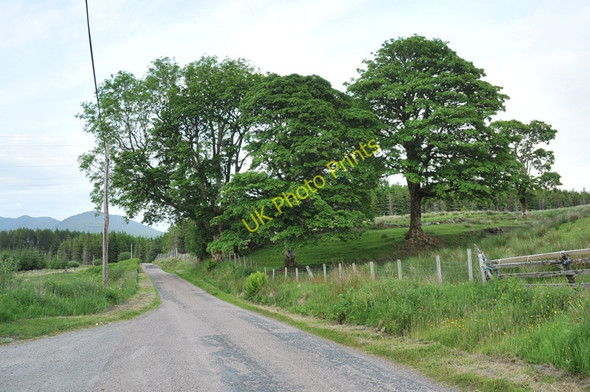 Photo 6"x4" Minor road near Kilchrenan Ballimore\/NN0525 c2010