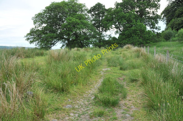Photo 6"x4" Farm track at Hayfield Ardanaiseig c2010