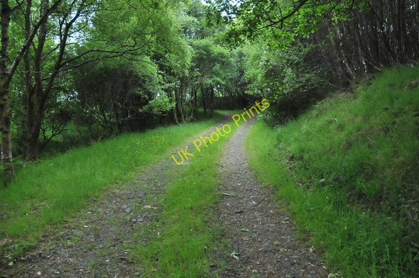Photo 6"x4" Farm track near Tervine Ardanaiseig c2010
