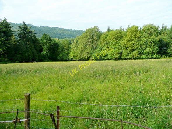 Photo 6"x4" Pasture at The Fence The Fence c2010