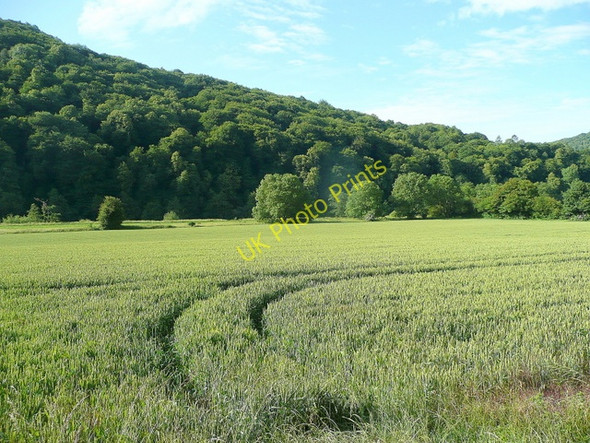 Photo 6"x4" The Wye Valley south of Bigsweir Llandogo c2010
