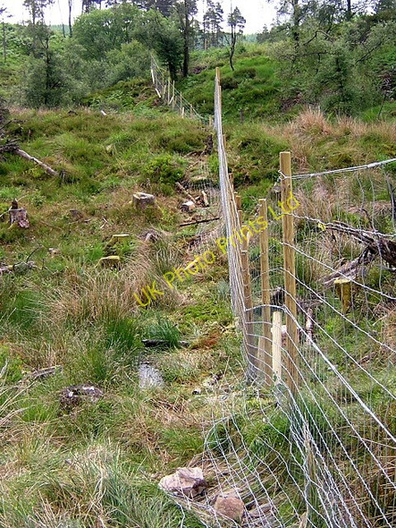 Photo 6"x4" New Deer Fence in Loch Ard Forest Kirkton\/NN5100 c2006