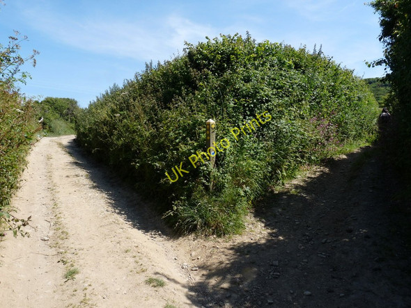 Photo 6"x4" Milkaway Lane (left) Pathdown Lane (right) Croyde c2010