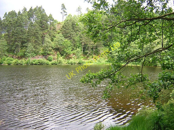 Photo 6"x4" Small Bay on Loch Ard Altskeith c2006