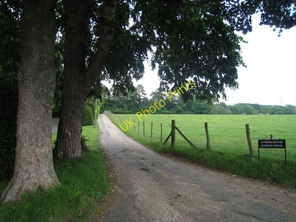 Photo 6"x4" Entrance Drive to Juniper Rough & Lodge Pett Bottom\/TR1652 c2010