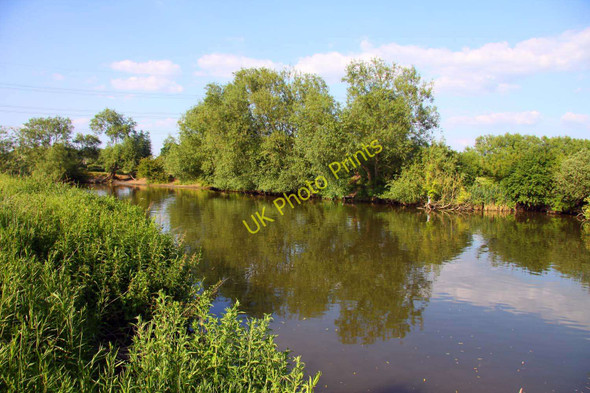 Photo 6"x4" Looking up the Thames Sandford-on-Thames c2010