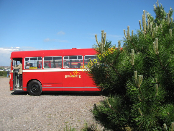 Photo 6"x4" Bus and Fir Tree Barry Dock c2010