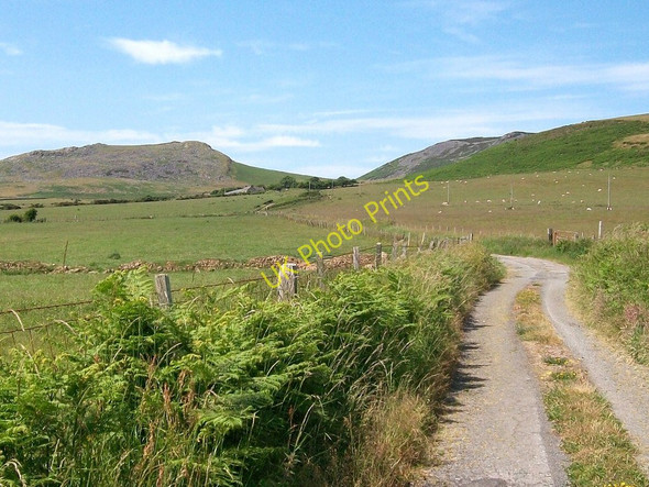 Photo 6"x4" Farm road to Caerau Isaf Garnfadryn c2010