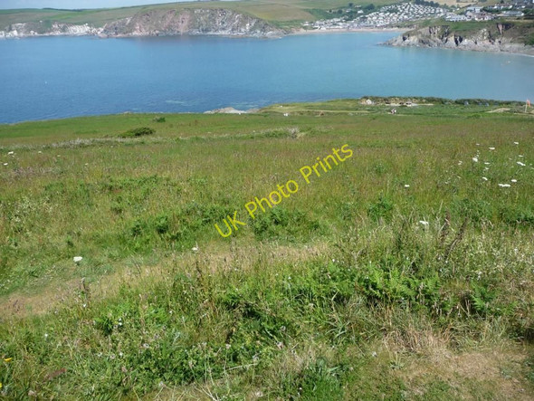 Photo 6"x4" Burgh Island grassland Bigbury-on-Sea c2010