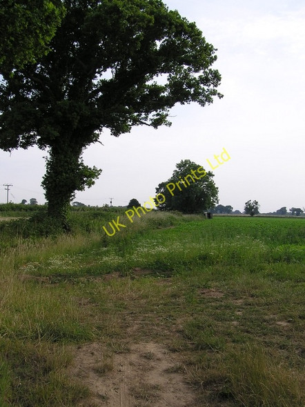 Photo 6"x4" Farmland, Catfield Catfield c2006