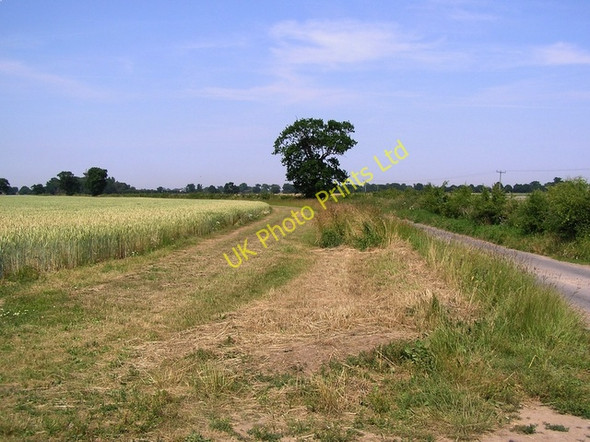 Photo 6"x4" Concessionary path, near Catfield How Hill\/TG3719 c2006