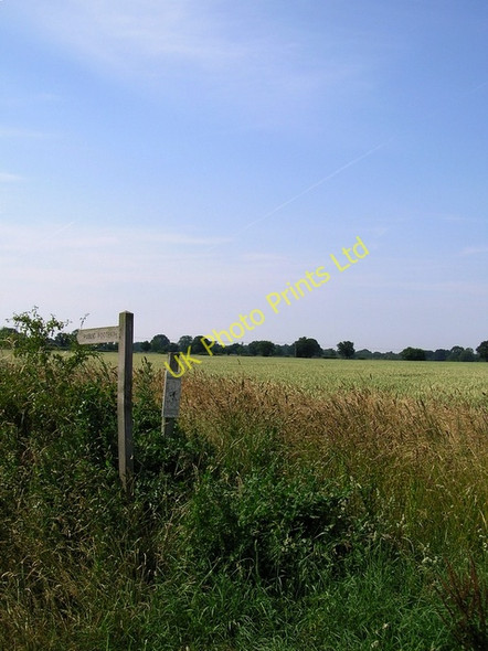 Photo 6"x4" Footpath, near Catfield How Hill\/TG3719 c2006