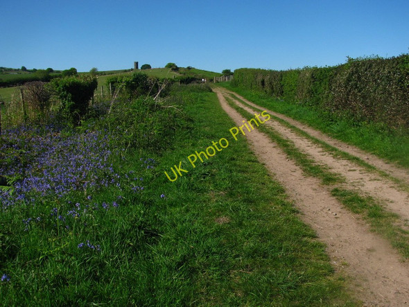 Photo 6"x4" Path towards Lambrook Pontypool\/Pont-y-pwl c2010