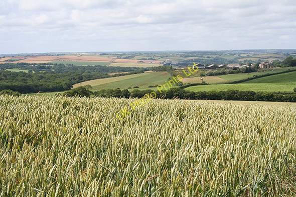 Photo 6"x4" South Tawton: towards Great Cocktree Taw Green\/SX6597 c2006