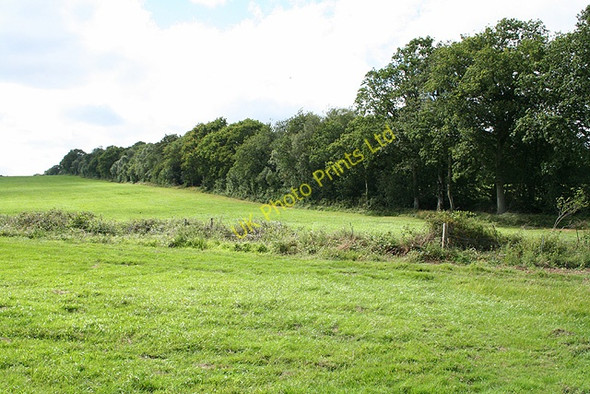 Photo 6"x4" South Tawton: Itton Moor Heath Cross\/SX7097 c2006
