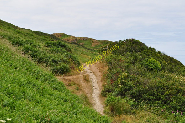 Photo 6"x4" The South West Coast Path heading towards Morte Point Mortehoe c2010