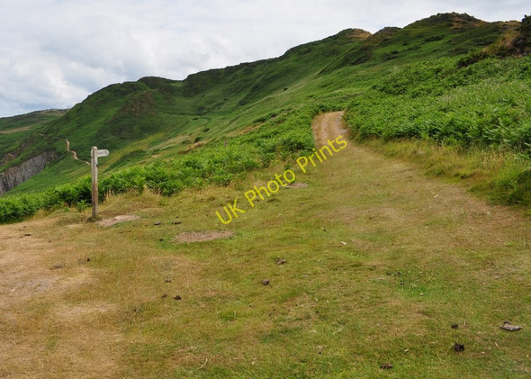 Photo 6"x4" A path to Morthoe which leaves the Coast Path near Morte Point Mortehoe c2010