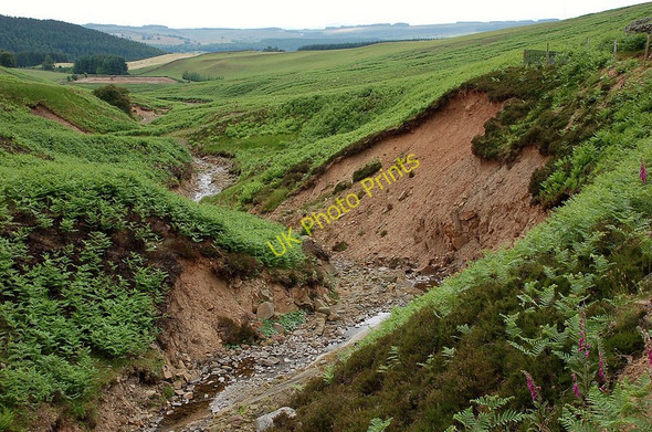 Photo 6"x4" Bank erosion by the Long Philip Burn Broadmeadows\/NT4130 c2010