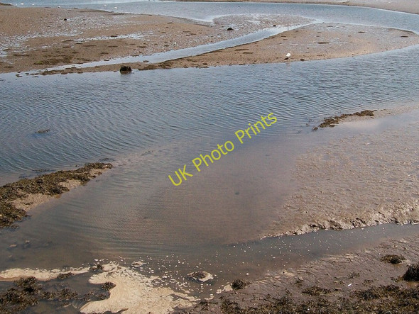 Photo 6"x4" Wading birds on mud banks at Pwllheli harbour Pwllheli c2010