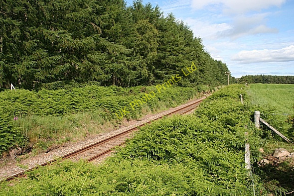 Photo 6"x4" Railway Line Blackburn\/NJ2958 c2006
