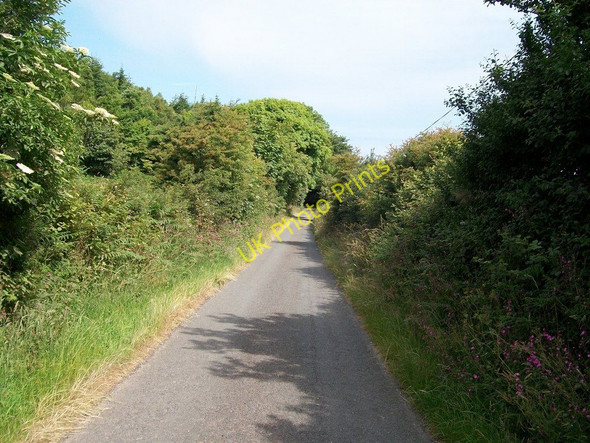 Photo 6"x4" View north towards Coed Mynydd-Meilian woodland Edern c2010