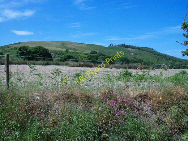 Photo 6"x4" A mown hayfield with Moel Caerau in the background Garnfadryn c2010