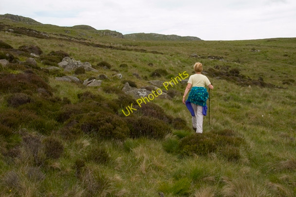 Photo 6"x4" Footpath under Green Crag Hall Dunnerdale c2010
