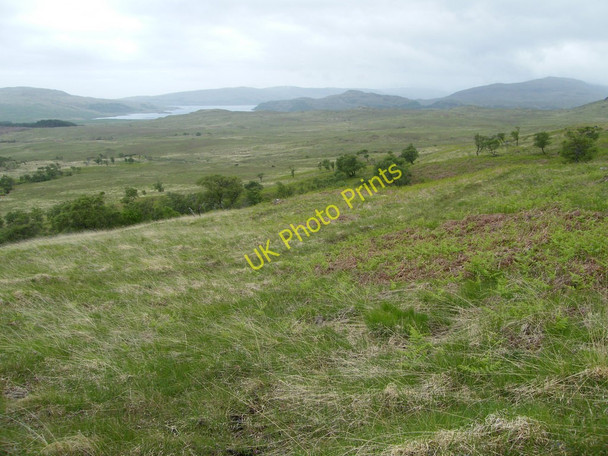 Photo 6"x4" View SW across a few trees towards Loch Spelve Lochdon c2010