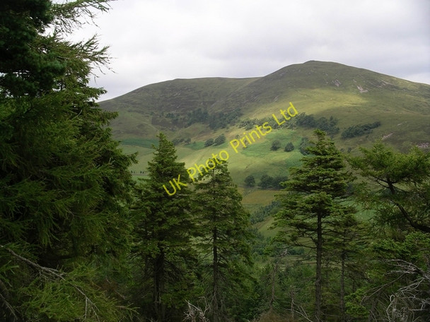 Photo 6"x4" South Black Hill Silverburn\/NT2060 c2005