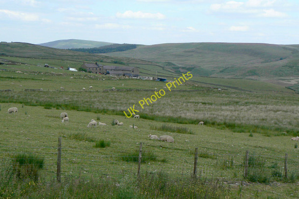 Photo 6"x4" Sutton End Wincle c2010