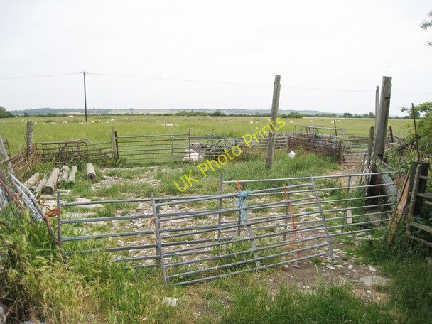 Photo 6"x4" Sheep Pen Newchurch\/TR0531 c2010