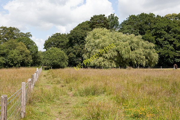 Photo 6"x4" Footpath past Emer Farm Crampmoor c2010