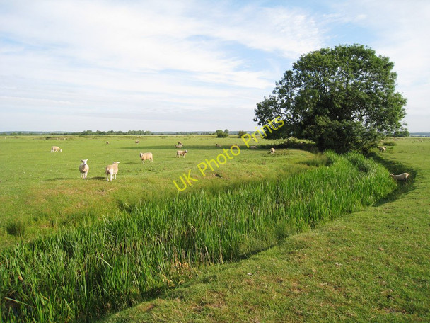 Photo 6"x4" Drainage Channel to Abbatridge Sewer Brenzett c2010