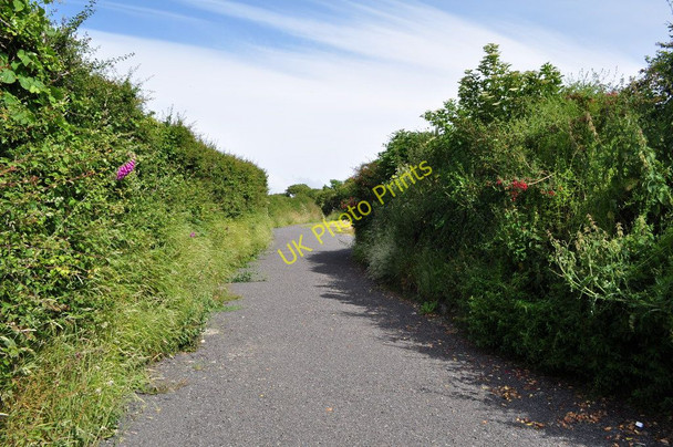 Photo 6"x4" The track which leads away from Yarde Farm towards Damage Barton Higher Warcombe c2010