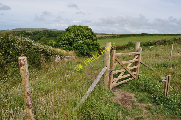 Photo 6"x4" A new fence and gate on the footpath to Damage Barton Higher Warcombe c2010