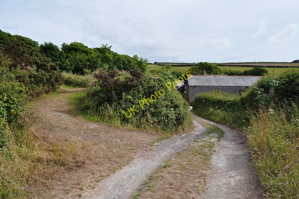 Photo 6"x4" Approaching Damage Barton Higher Warcombe c2010