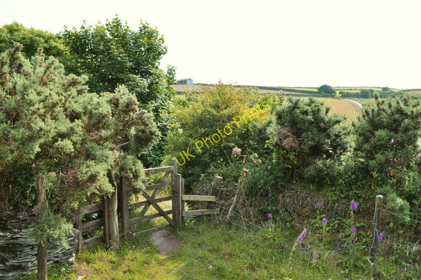 Photo 6"x4" A gate on the footpath between Higher Warcombe and Damage Barton Higher Warcombe c2010