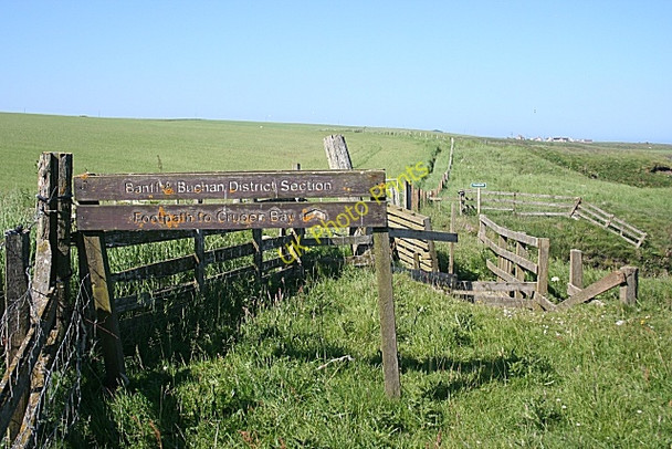 Photo 6"x4" Waymarked Path Whinnyfold c2010