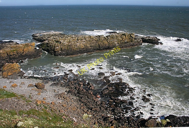 Photo 6"x4" Skellyis of Harrol Whinnyfold c2010