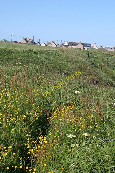 Photo 6"x4" Path to Whinnyfold Whinnyfold c2010